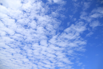 Blue summer sky with Cirrus clouds 