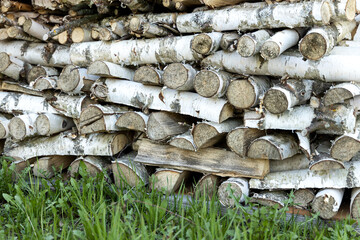 Woodpile of birch firewood lying on a green grass.