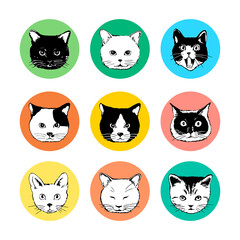 Fototapeta premium 猫のアイコンセット ベクターイラスト素材