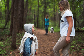 family with siberian husky dog walking in forest © shapovalphoto