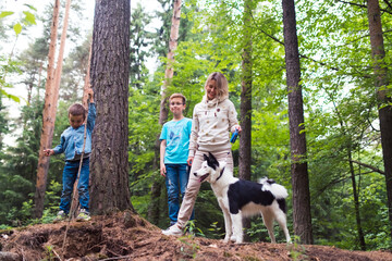 family with siberian husky dog walking in forest © shapovalphoto