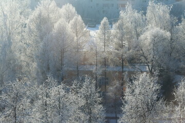 Fototapeta na wymiar Winter view from window, trees covered in snow sparkling in the sun. 