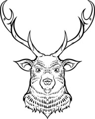 鹿のラインアート