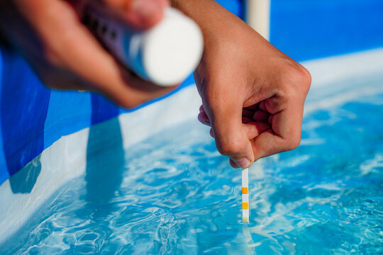 Checking the water quality of a pool with the help of a test strip with PH value, chlorine and algaecide