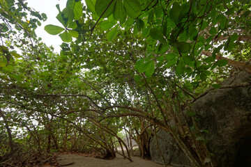 Park Narodowy Tayrona na karaibskikm wybrzeżu Kolumnii