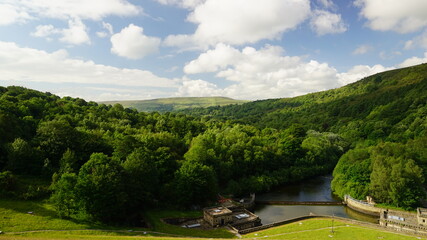 Lush green landscape 