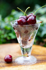 cherries in a glass cup with green nature background