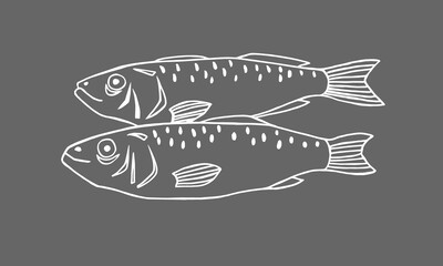 Vector image of fish on gray background