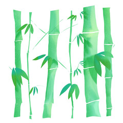 It is an illustration of a green bamboo grove.