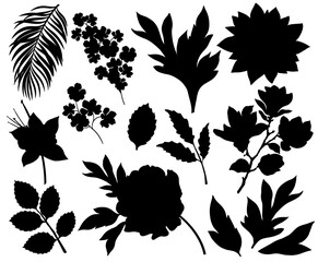 Collection of flowers and leaves silhouettes isolated on white background