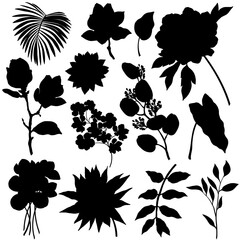 Set of flowers and leaves silhouettes isolated on white background