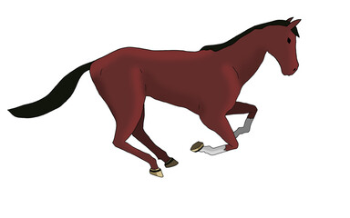 Obraz premium red horse galloping alone on a white background