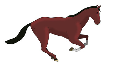 red horse galloping alone on a white background