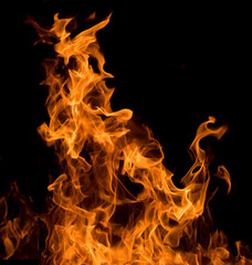 Flames of fire 