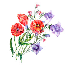 Watercolor bouquet of flowers poppy with bluebell on white background.
