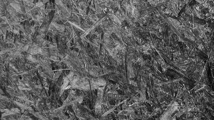 black and white wood texture backdrop