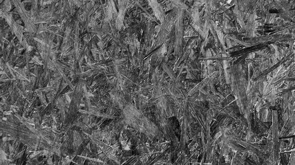 black and white wood texture backdrop