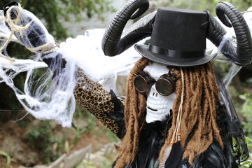 Fashionable skeleton with goggles and dreadlocks 