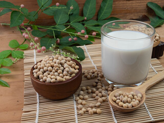 organic soybean in wooden bowl and spoon with soy milk on wooden floor high protein and amino acids