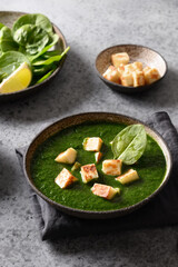 Indian food Palak Paneer made of spinach and paneer cheese on a gray background. Vertical format. Close up.