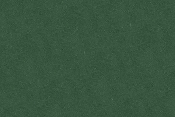 green grass outdoor texture pattern backdrop