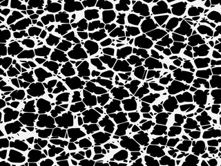 black and white background