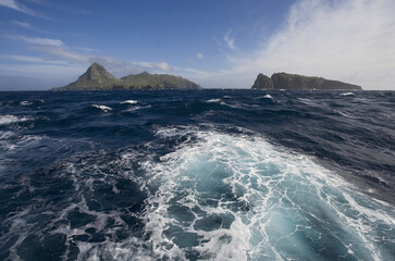 Nightingale Island Tristan da Cunha - obrazy, fototapety, plakaty