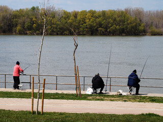 Obraz na płótnie Canvas fishermen on the Danube embankment on a sunny day