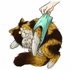 Persian Cat funny illustration - 440988131