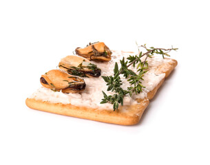 Tasty cracker with mussels and thyme on white background