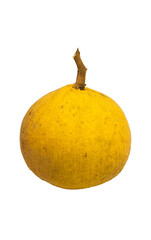 Ripe santol yellow, sweet and sour taste. On a white background. Clipping path.