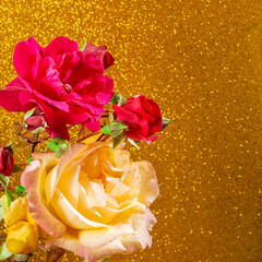 Close-up of some gorgeous natural yellow and red roses on a textured gold-colored background.The photography has copy space to make a design to our liking.The photo is in square format.