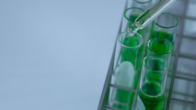 Scientist is preparation and dropping the green chemical solution in test tube in the laboratory experiment. Chemical and natural oil extracted concept. marijuana, Kratom, Andrographis paniculata