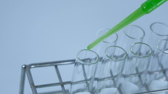 Scientist is preparation and dropping the green chemical solution in test tube in the laboratory experiment. Chemical and natural oil extracted concept. marijuana, Kratom, Andrographis paniculata