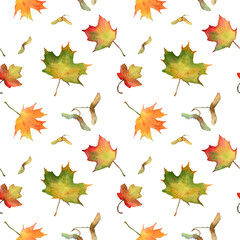 Watercolor seamless pattern of bright maple leaves and seeds, autumn theme, botanical elements isolated on white background. Disan fabric, textile, wrapping paper, background for scrapbooking.