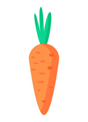 Carrot organic healthy vegetable nutrition vector