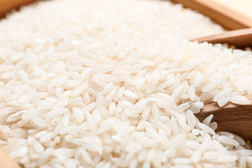 Box with raw rice and scoop, closeup