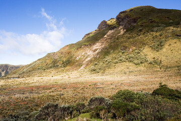 Papallacta Pass Ecuador