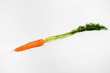 A carrot with top isolated on a white background