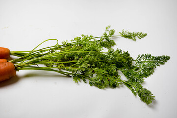 Carrot tops, isolated on a white background