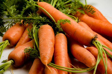 A bunch of carrots with tops, isolated on a white background