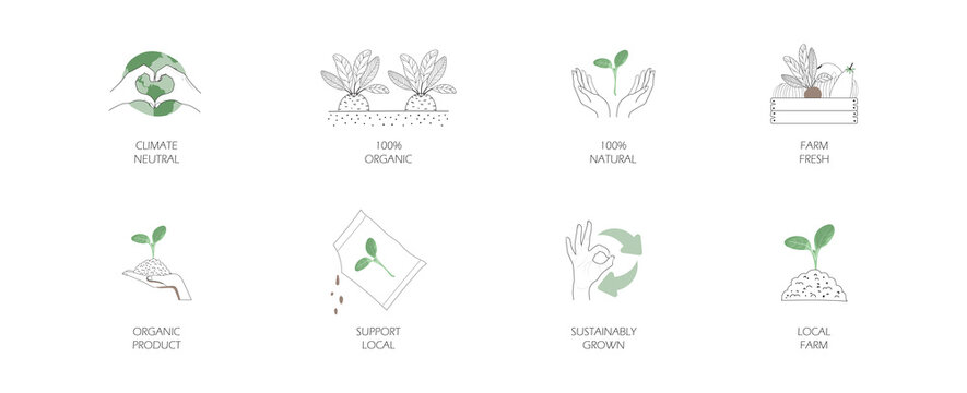 icon of locally grown food, farmers market organic product, fresh natural organic sustainable label. concept of support local small business. simple vector line illustration. 