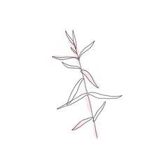 Illustration of a flower, line art and minimalistic style, for greeting cards, decoration