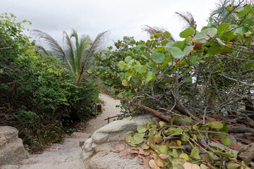 Park Narodowy Tayrona na karaibskikm wybrzeżu Kolumnii - obrazy, fototapety, plakaty