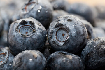 fresh ripe blueberries with vitamins, harvested, close up