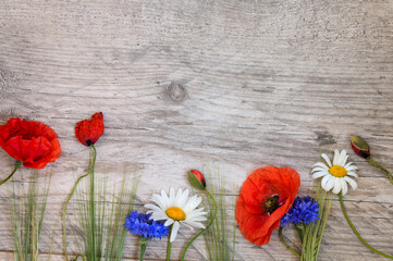 Fototapeta na wymiar Wooden gray background with wildflowers. Cornflowers, chamomile poppies with copy space. Top view flat lay