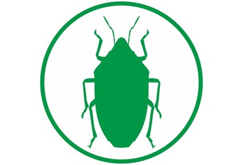 Bug Aelia rostrata on a white background. A type of insect that damages grains. Flat vector illustration