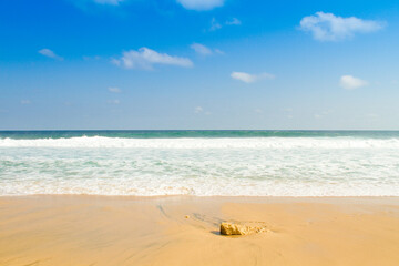 empty beach at summer