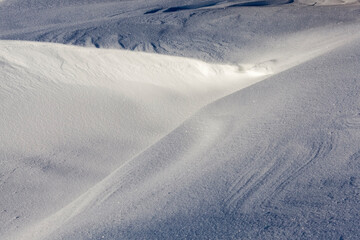 white cold snow in the winter season