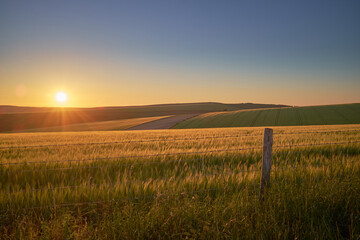 Farmland on South Downs National Park with the sun setting over the Sussex Weald. The low sun is...